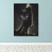 Little Black Kitty Leinwanddruck (Insitu (Holzboden))