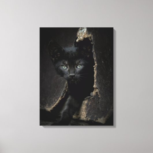 Little Black Kitty Leinwanddruck (Vorderseite)