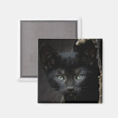 Little Black Kitty Magnet (Vorderseite/Rückseite)