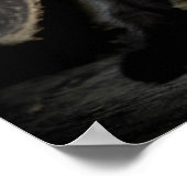 Little Black Kitty Poster (Ecke)