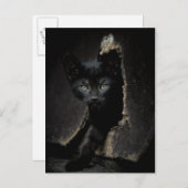 Little Black Kitty Postkarte (Vorne/Hinten)