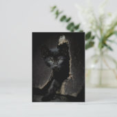 Little Black Kitty Postkarte (Stehend Vorderseite)