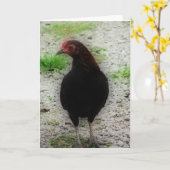 Little Black Rooster Karte (Gelbe Blume)