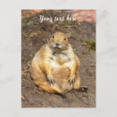 Little Black-Tails Prairie Dog Feiertagspostkarte (Vorderseite)