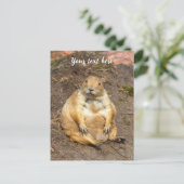 Little Black-Tails Prairie Dog Feiertagspostkarte (Stehend Vorderseite)