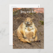 Little Black-Tails Prairie Dog Feiertagspostkarte (Vorne/Hinten)