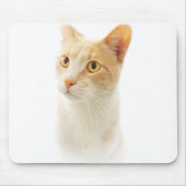 Little Blondie Cat Wondering Mousepad (Vorne)