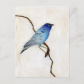 Little Blue 2012 Postkarte (Vorderseite)