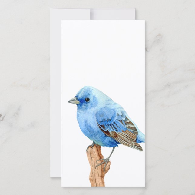 Little Blue Bird (Vorderseite)