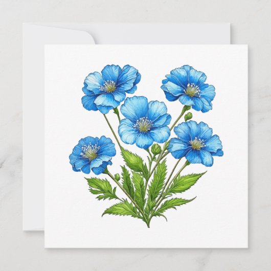 Little Blue Blumen (Vorderseite)