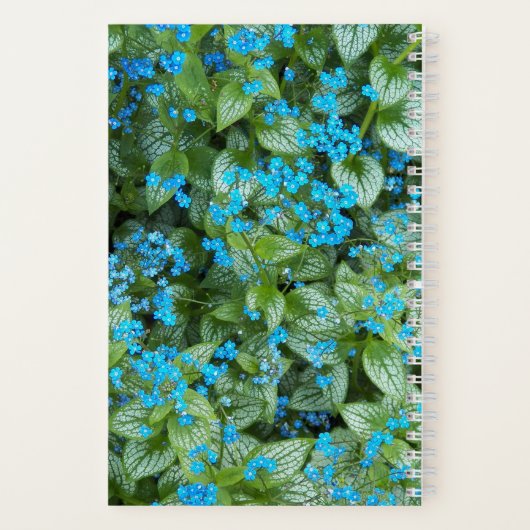 Little Blue Brunnera Blume Floral Notizblock (Rückseite)
