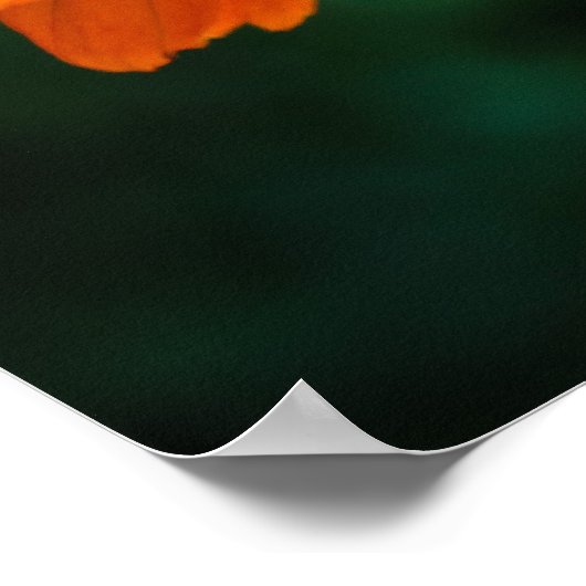 Little Blue Bug Poster (Ecke)