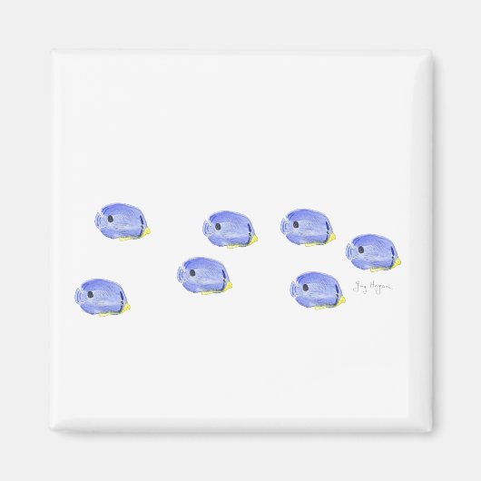 Little Blue Fish Magnet (Vorne)