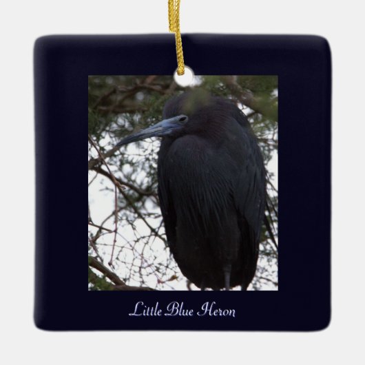 Little Blue Heron Bird Ornament (Vorderseite)