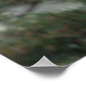 Little Blue Heron Foto Poster (Ecke)