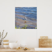 Little Blue Heron Poster (Küche)