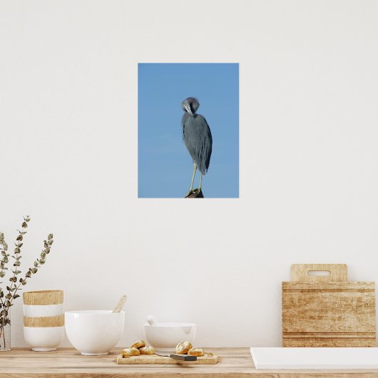 Little Blue Heron Poster (Küche)