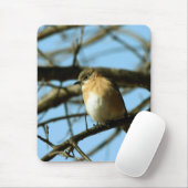 Little Blue Mousepad (Mit Mouse)