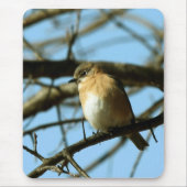 Little Blue Mousepad (Vorne)