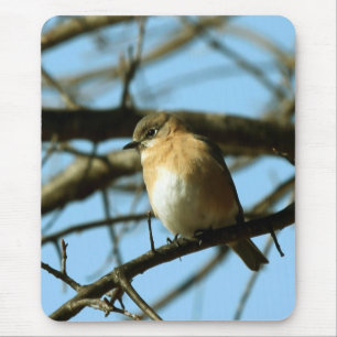 Little Blue Mousepad