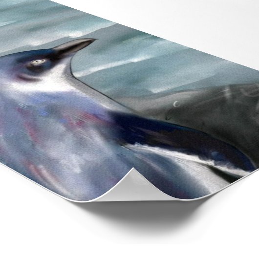 Little Blue Penguin Poster (Ecke)