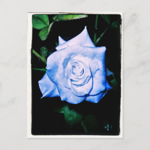 Little Blue Princess Postkarte