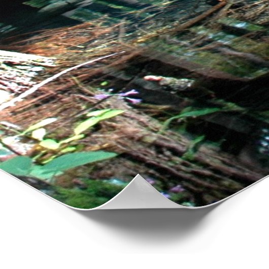 Little Blue Spring Pool Print Poster (Ecke)