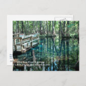 Little Blue Spring Postcard Postkarte (Vorne/Hinten)