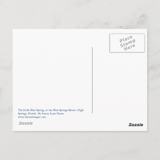 Little Blue Spring Postcard Postkarte (Rückseite)