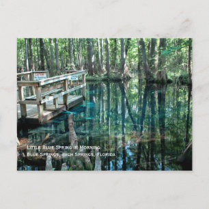 Little Blue Spring Postcard Postkarte