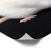 Little Blume - Rat Poster (Ecke)