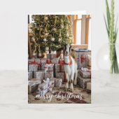 Little Boer Goat Bereit zu Weihnachten Karte (Vorderseite)