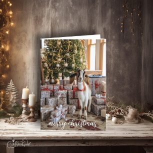 Little Boer Goat Bereit zu Weihnachten Karte