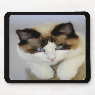 Little Boy-Blau Mousepad