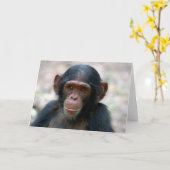 Little Boy Karte (Gelbe Blume)