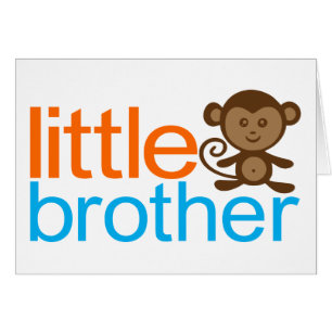 Little Brother Monkey