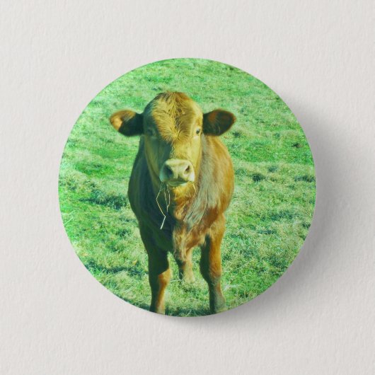 Little Brown Cow in Pastel Green Grass Button (Vorderseite)