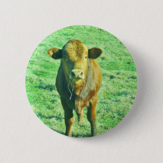 Little Brown Cow in Pastel Green Grass Button