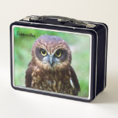 Little Brown Owl Metal Lunchbox (Rückseite)