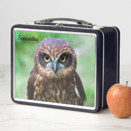 Little Brown Owl Metal Lunchbox