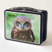 Little Brown Owl Metal Lunchbox (Vorderseite)