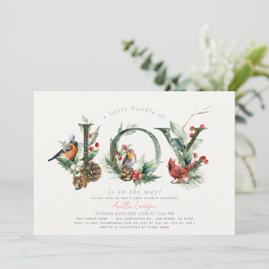 Little Bundle of Joy Birds Boy Baby Shower Einladung (Stehend Vorderseite)