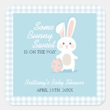 Little Bunny Easter Baby Shower Gingham Kariert