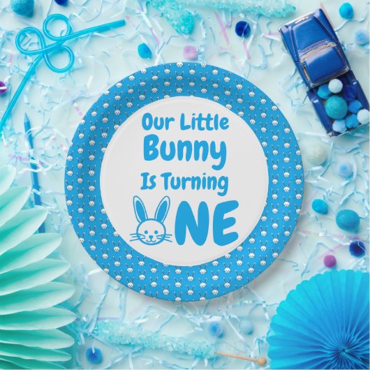 Little Bunny First Geburtstag Pappteller (Party)