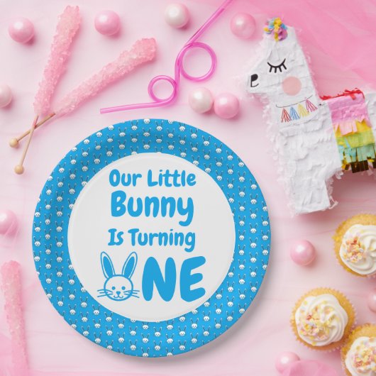 Little Bunny First Geburtstag Pappteller (Party)