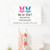 Little Bunny Gender Reveal Banner (Insitu)