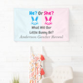 Little Bunny Gender Reveal Banner (Insitu)