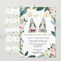 Little Bunny Gender Reveal Party Einladung