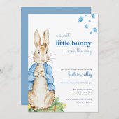 Little Bunny Peter Rabbit Kinderdusche Einladung (Vorne/Hinten)