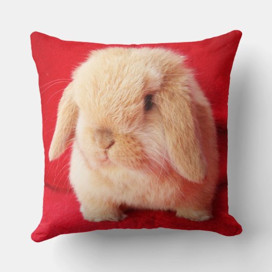 Little Bunny Pillow Kissen (Rückseite)